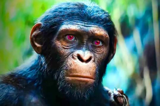 Сборы фильма «Планета обезьян 4: Новое царство» оказались на уровне прошлой трилогии