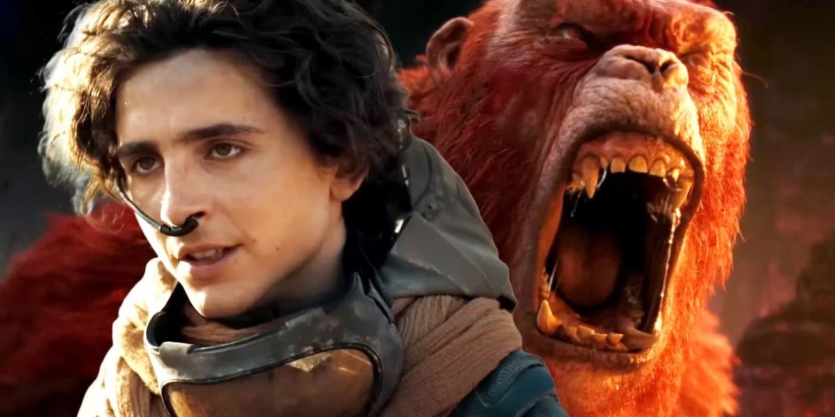 Сборы фильмов «Дюна 2» и «Годзилла и Конг» помогли Warner Bros. установить новый рекорд